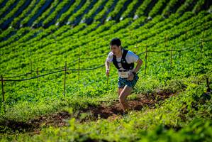 BIB: 1005
                            <button type="button" onclick="openModal(19160592)" class="btn btn-primary btn-sm float-right btn-popup" data-toggle="modal" data-target=".modal-high-quality">
                        <i class="fas fa-shopping-cart"></i> Add to Cart
                    </button>
                                            <button type="button" onclick="isThisMe(19160592, true)" class="btn btn-success btn-sm float-right btn-popup btn-isme hidden" data-toggle="tooltip" data-placement="bottom" title="นี่คือรูปของคุณใช่ไหม คลิกที่นี่เพื่อเอาเข้าอัลบั้ม">
                        <i class="fas fa-plus"></i> Add to album
                    </button>
                    <button type="button" onclick="isThisMe(19160592, false)" class="btn btn-warning btn-sm float-right btn-popup btn-isnotme hidden">
                        <i class="fas fa-ban"></i> Remove from album
                    </button>